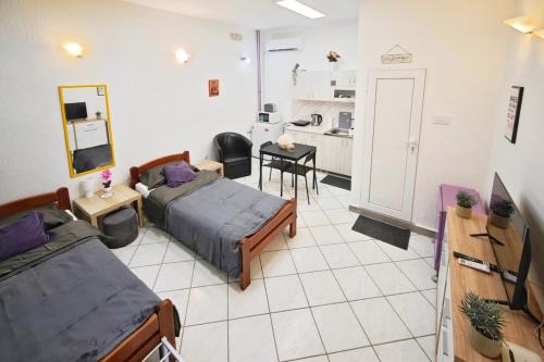 Surcin Apartment | Centar