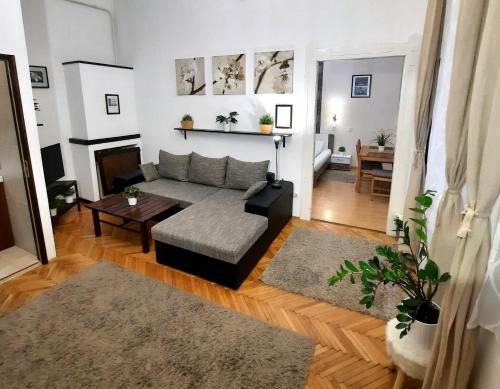 Terezvaros Apartment | Central Gold Apartment