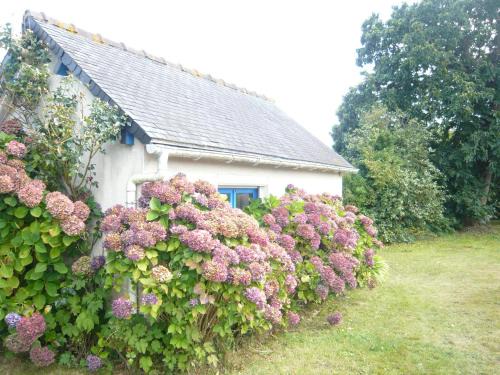 Plouezec Bed & Breakfast | Châtaigne