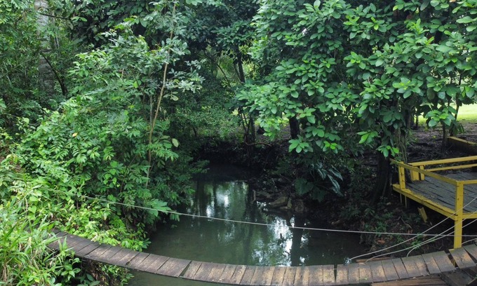Nobres Hotel | Chalé Estância da Mata