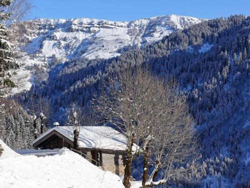 Beaufort Ski Chalet | Chalet 3 pièces, 6 pers, 2 km des pistes, plein sud, internet - FR-1-342-158