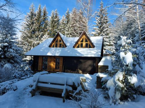 Zrece House | Chalet Bellevue Rogla