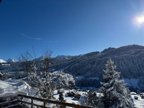 Les Gets Ski Chalet | Chalet Cosy Les Gets Vue Montagne