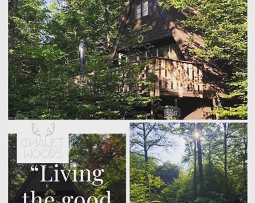 Bohon Ski Chalet | Chalet Woods