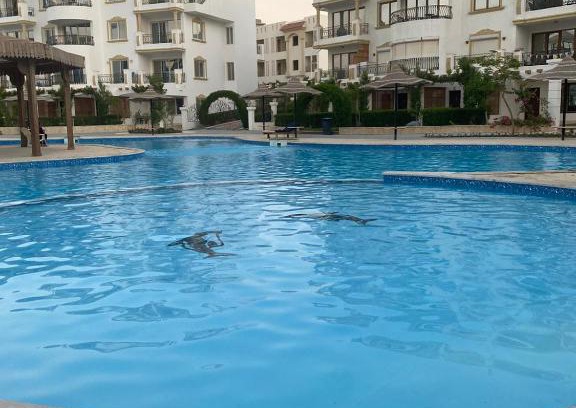 Sharm El Sheikh Apartment | chalets neama bay