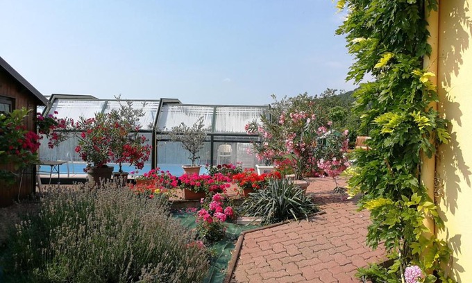 Mittelbergheim Bed & Breakfast | Chambre d'hôtes de la tulipe