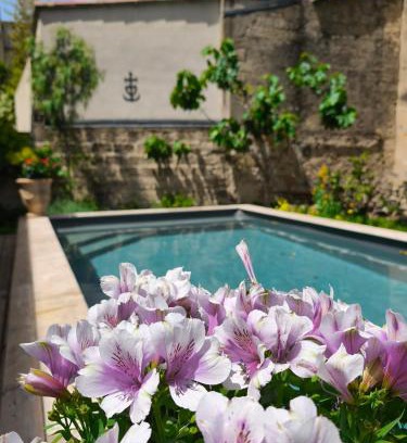Aigues-Mortes Medieval City Bed & Breakfast | Chambre d'hôtes villa Adoya dans les remparts, piscine, ascenseur