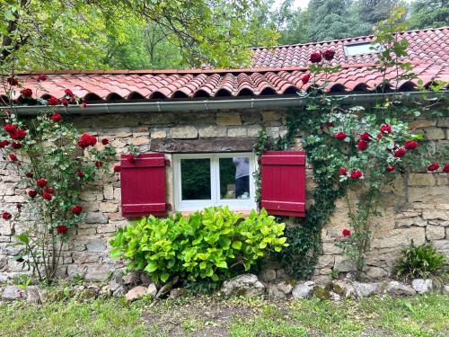 Saint-Antonin Noble Val Bed & Breakfast | Chambre en bordure d'Aveyron