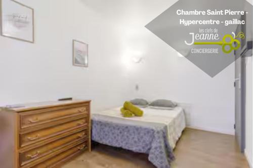 Gaillac Apartment | Chambre Saint Pierre - Hypercentre