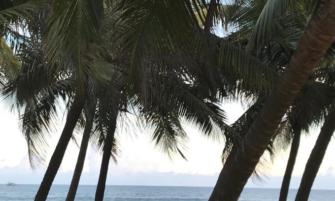 Kalapettai Resort | Chan Beach Resort