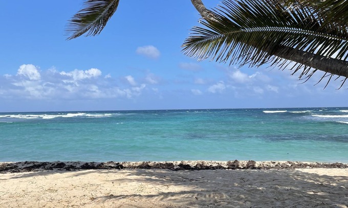 La Grande Princesse Condo | Changes in L'Attitude: Casual luxury, right on the beach at Pelican Cove!