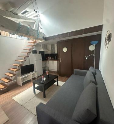 Clermont-Ferrand Apartment | Charmant duplex
