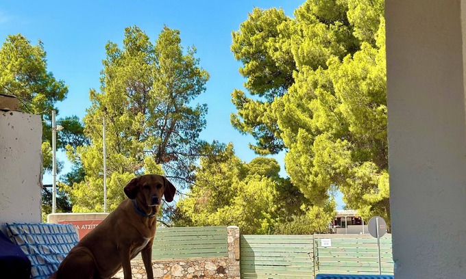 Atsitsa House | Charming 1-bedroom house with AC, WiFi in pleasant Atsitsa