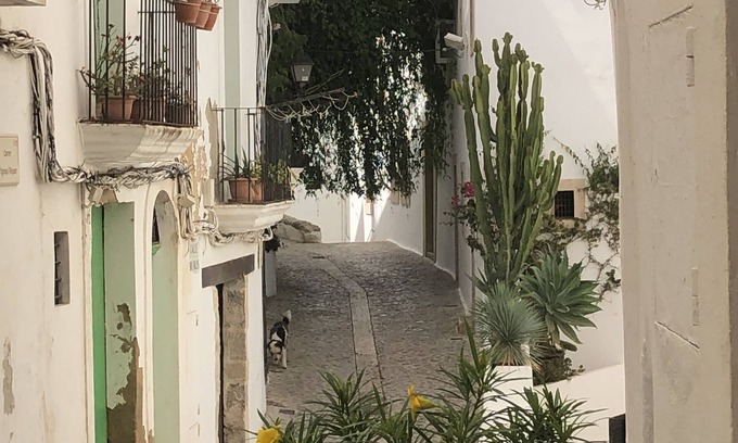 Ibiza City Centre Apartment | charming Apartment Dalt Vila Ibiza , 2 beds, 2 showers