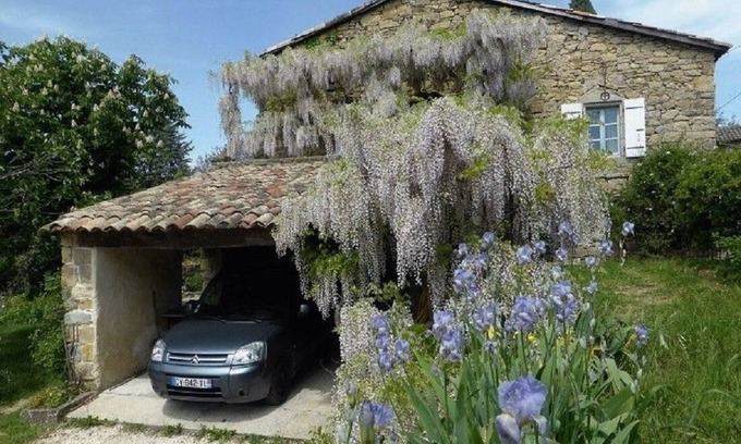 Vesseaux Other | Charming detached house with terrace in a farmhouse with swimming pool and garden