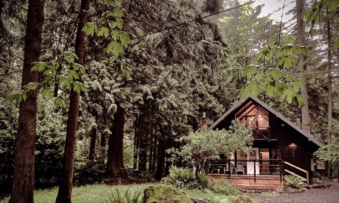 Welches Ski Chalet | Charming Mt Hood Chalet, minutes to Mt fun! Woodsy feel.
