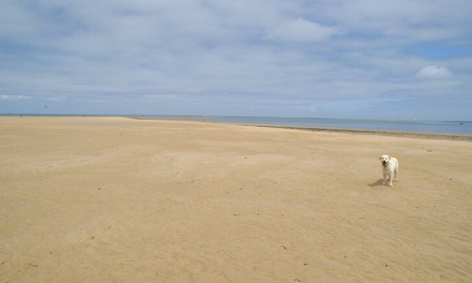 Ars-en-Re House | Charming restored Ile de Re cottage, very warm and comfortable for restful stay