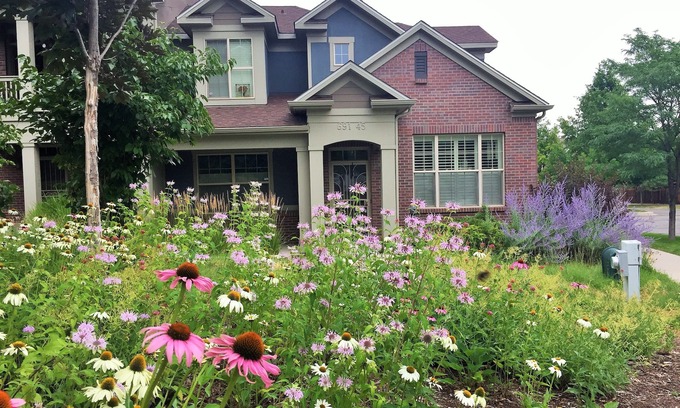Lowry Field House | Charming Townhouse Close to Parks and the Lowry Town Center