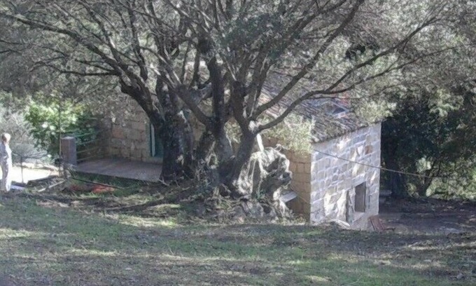 Sartene Cottage | Charming traditional home in the quiet groves. 10 minutes from beaches