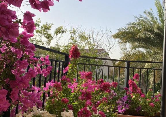 Dubai Investment Park Bed & Breakfast | Cherrywood House