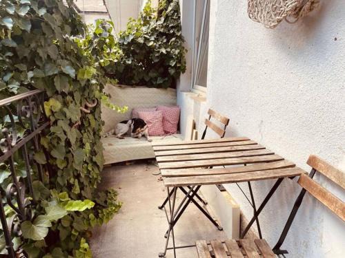 Krisztinavaros Apartment | Chestnut Home - a charming and warm feel place