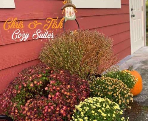 Eatonville Apartment | Chris & Tish Cozy Suites B