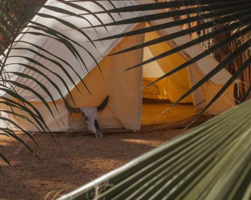 Todos Santos Other | Cien Palmas Tent 1