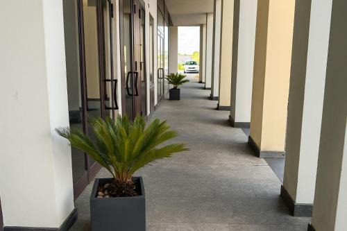 Cocconi Apartment | Civico61
