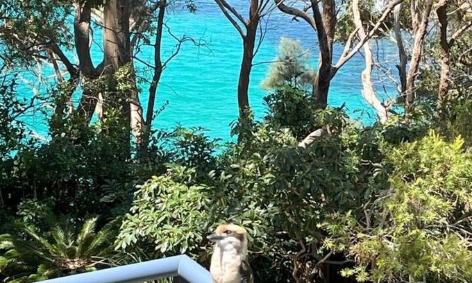 Shoalhaven House | Clifftop Views @ Mollymook