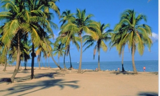 Key Biscayne Apartment | Close to the Ocean Two Bedroom with Pool -