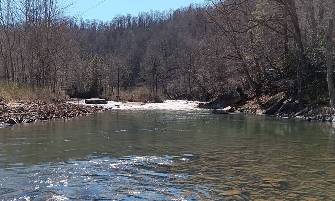 Nettie Cabin | Coal Siding Cabin on the Cherry River. Family and pet friendly!