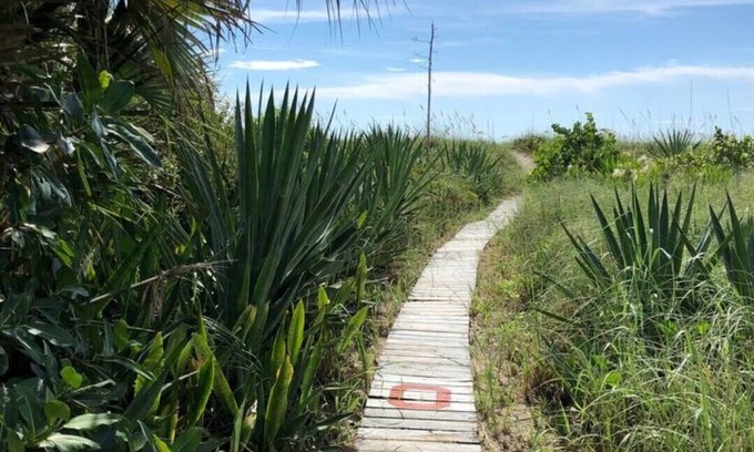 Port Canaveral House | Cocoa Beach The #1 Surf Beach The Mulvaine Beach House