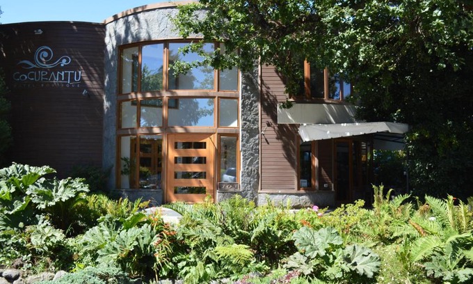 Pucon Hotel | Cocurantu Hotel Boutique