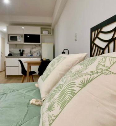 Centro Apartment | Colima