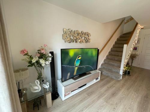 Wellingborough House | Comet place