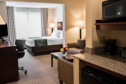 South Bend Hotel | Comfort Suites University Area Notre Dame-South Bend