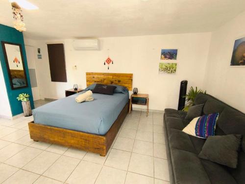 Colonia Centro Apartment | Comfy studio Yaxkin on downtown, 3 block away from sea and sunsets