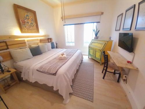 La Condesa House | CONDESA Host 3