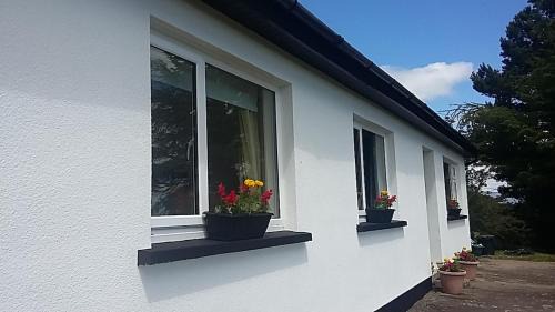 Dundalk House | Cooley House