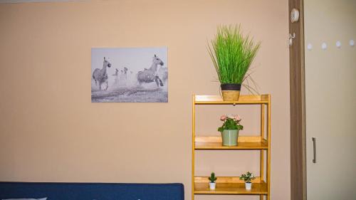 Phibsborough Apartment | Cosy Flat off City Centre