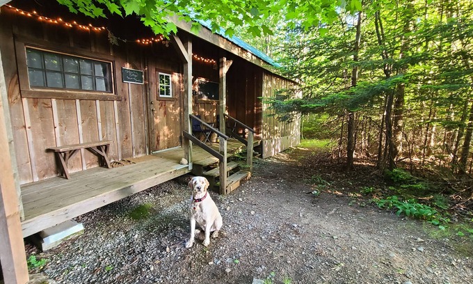 Jamaica Cottage | Cottage 7min to Ski Stratton-Wood Stove,Starry Skies,Fire Pit,Views,Dogs OK