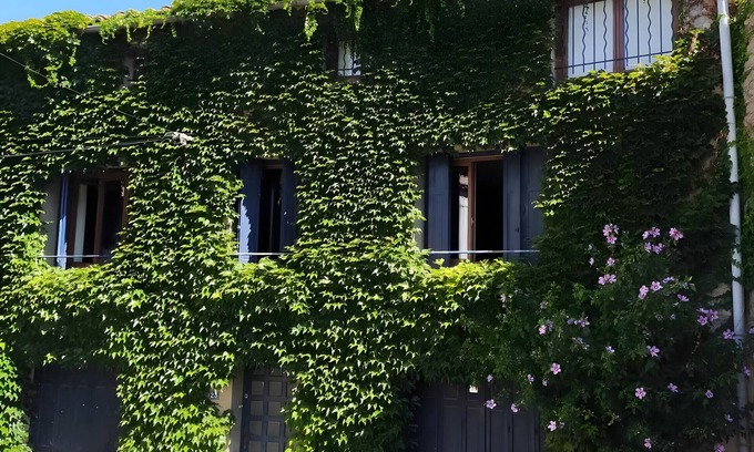Laure-Minervois House | Country House 'Charming Village House'