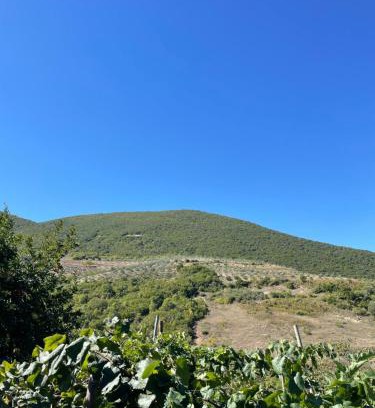 Albania House | CountrySide TOTAJ Villa