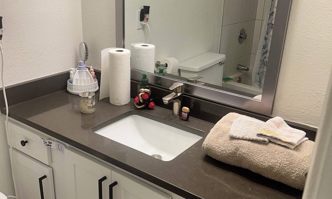 East Forest Apartment | Cozy 1-bedroom apartment 15mins from uptown. Includes Gym, Lake View, & pool.