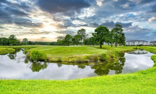 Central Myrtle Beach Apartment | Cozy 1BR Condo with Pool Access Sleeps 4