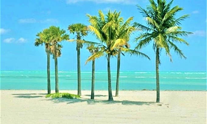 Key Biscayne Apartment | Cozy 2BR Retreat with Pool, Walk to the Beach! -