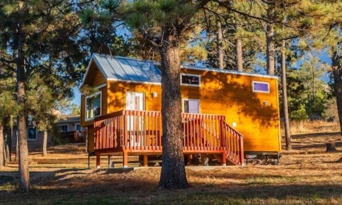 Colorado Springs House | Cozy brand new tiny home! Amazing experience