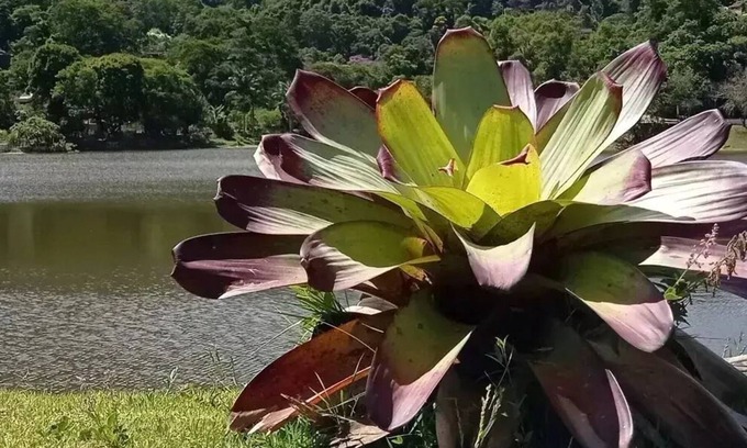 Teresopolis Cottage | Cozy house in the middle of nature: wi fi, barbecue, fireplace