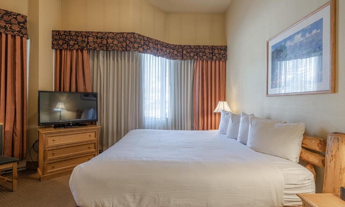 Crested Butte Hotel | Cozy Pet-Friendly King Studio in Mt, Crested Butte condo