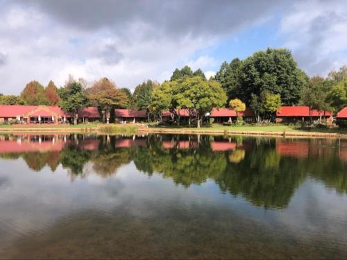 Dullstroom Cabin | Critchley Hackle Lodge